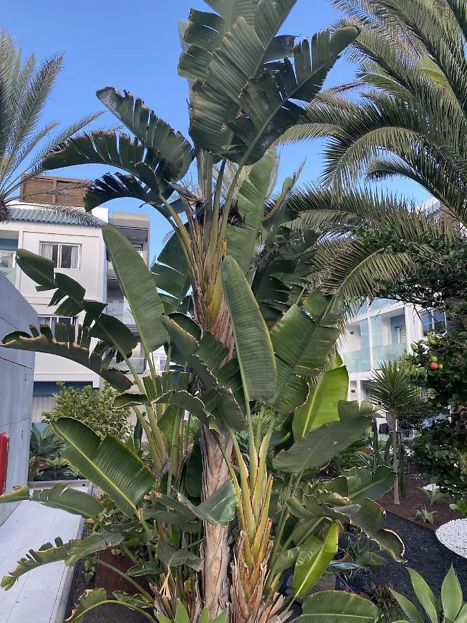 Appartamento Sun And Surf Stay Corralejo