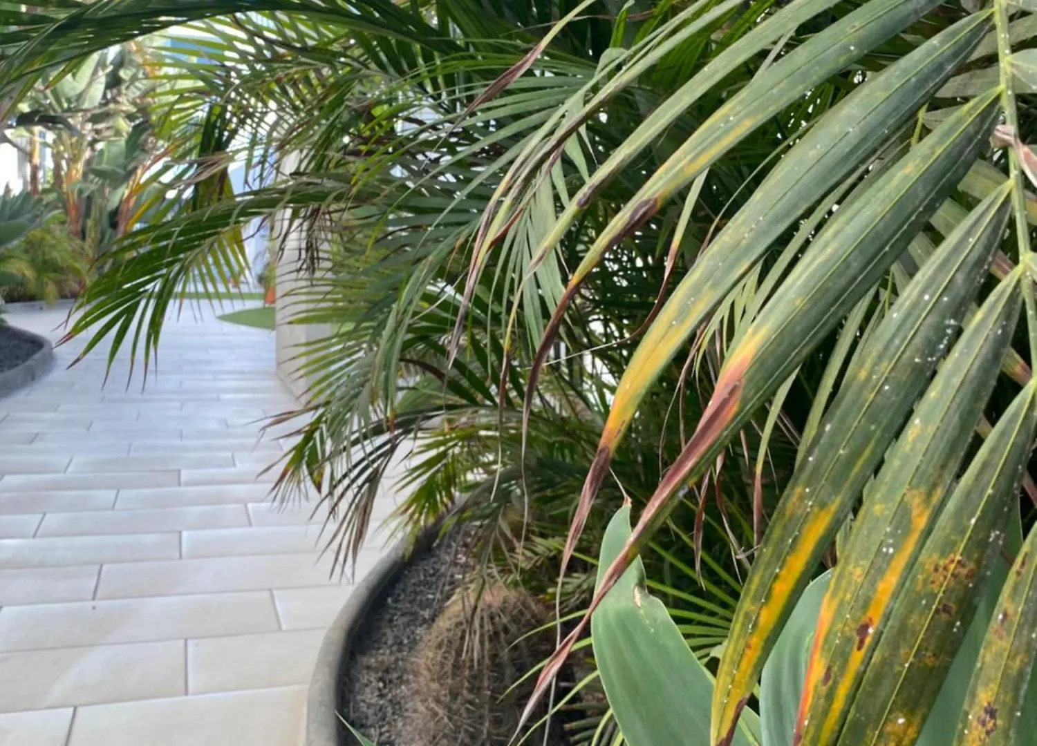 Appartamento Sun And Surf Stay Corralejo Spagna