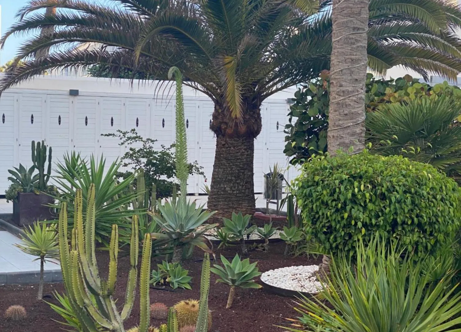 Appartamento Sun And Surf Stay Corralejo