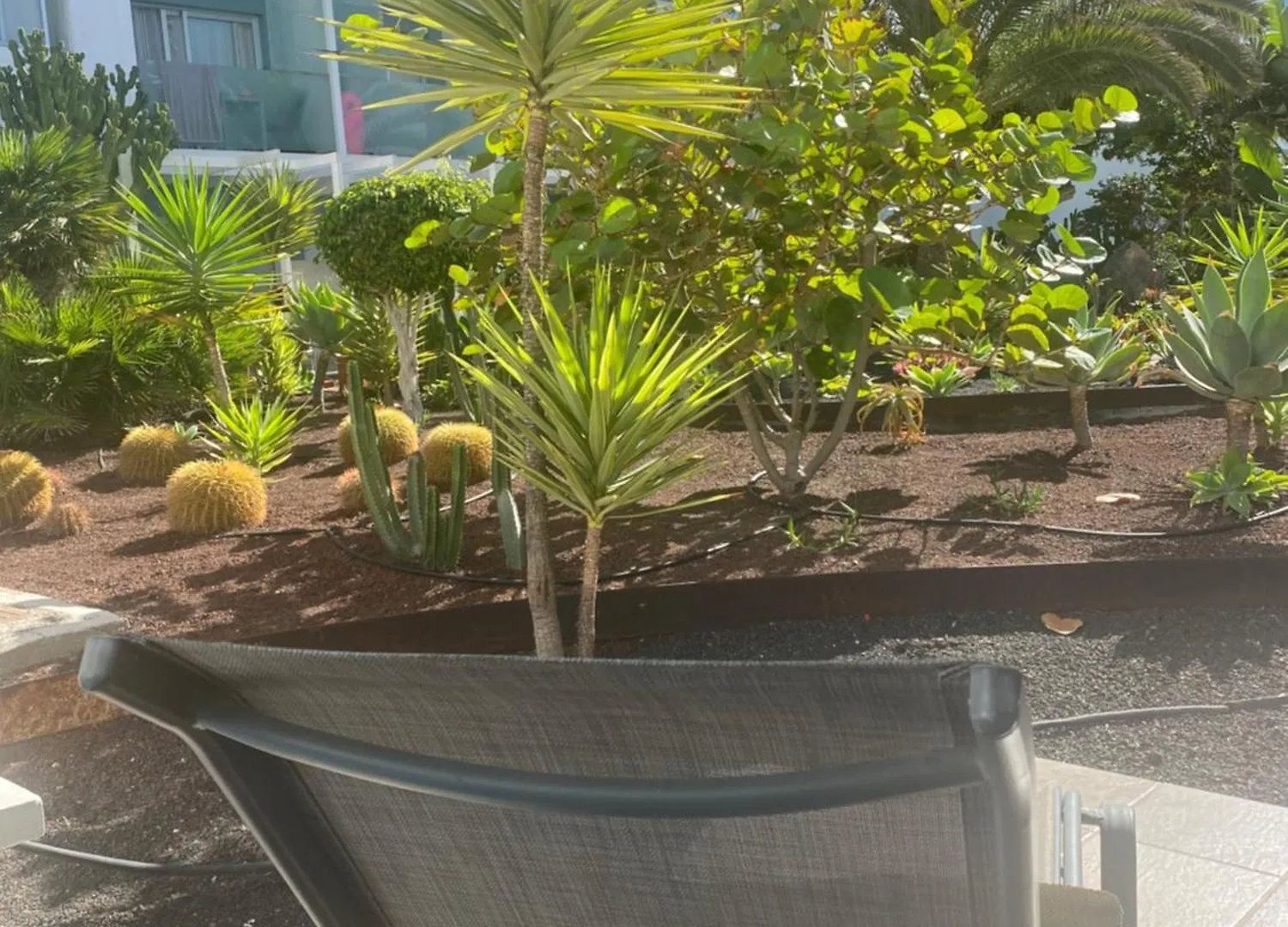 Sun And Surf Stay Corralejo Appartamento
